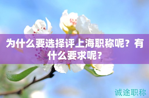為什么要選擇評上海職稱呢？有什么要求呢？