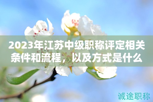 2023年江蘇中級職稱評定相關(guān)條件和流程，以及方式是什么呢？