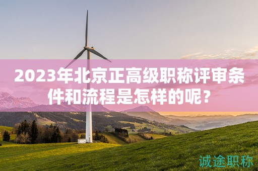 2023年北京正高級職稱評審條件和流程是怎樣的呢？
