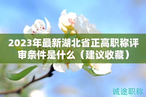 2023年最新湖北省正高職稱評(píng)審條件是什么（建議收藏）