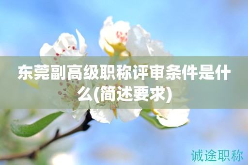 東莞副高級(jí)職稱評(píng)審條件是什么(簡(jiǎn)述要求)