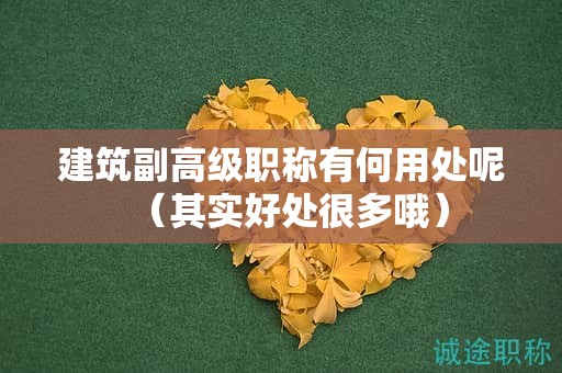 建筑副高級職稱有何用處呢（其實好處很多哦）
