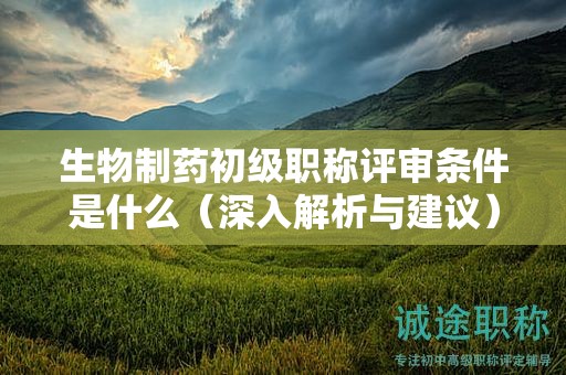 生物制藥初級職稱評審條件是什么（深入解析與建議）