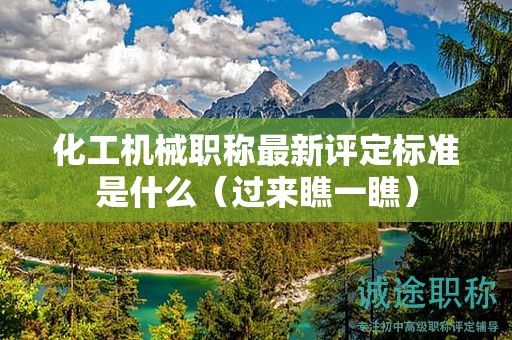 化工機(jī)械職稱最新評定標(biāo)準(zhǔn)是什么（過來瞧一瞧）