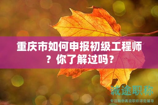 重慶市如何申報(bào)初級(jí)工程師？你了解過(guò)嗎？