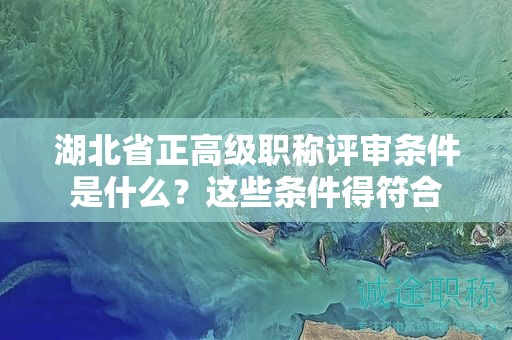 湖北省正高級(jí)職稱(chēng)評(píng)審條件是什么？這些條件得符合