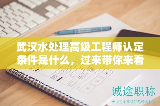 武漢水處理高級工程師認定條件是什么，過來帶你來看看