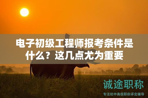 電子初級工程師報(bào)考條件是什么？這幾點(diǎn)尤為重要