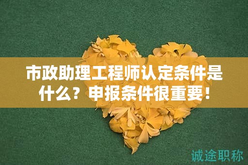2024年市政助理工程師認(rèn)定條件是什么？申報(bào)條件很重要！