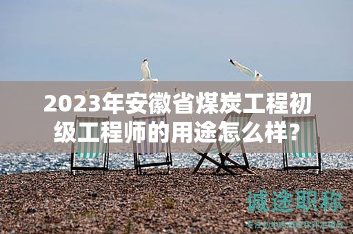 2023年安徽省煤炭工程初級工程師的用途怎么樣？