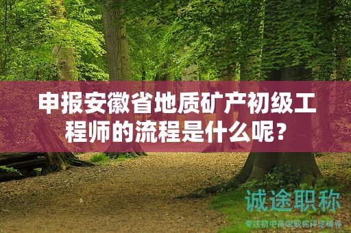 申報安徽省地質(zhì)礦產(chǎn)初級工程師的流程是什么呢？