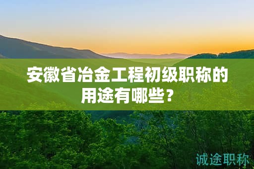 安徽省冶金工程初級職稱的用途有哪些？