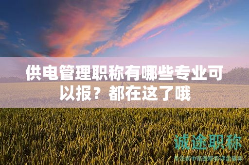 供電管理職稱有哪些專業(yè)可以報？都在這了哦