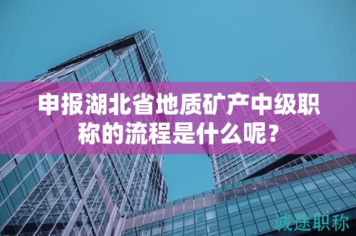 申報湖北省地質(zhì)礦產(chǎn)中級職稱的流程是什么呢？