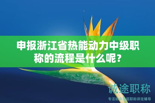 申報浙江省熱能動力中級職稱的流程是什么呢？
