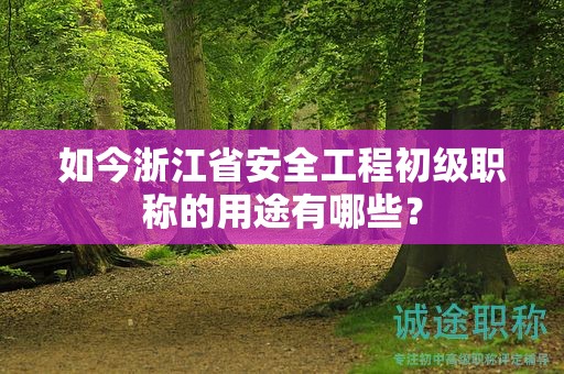 如今浙江省安全工程初級職稱的用途有哪些？