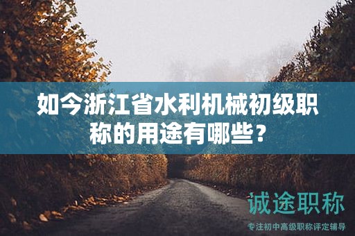 如今浙江省水利機械初級職稱的用途有哪些？