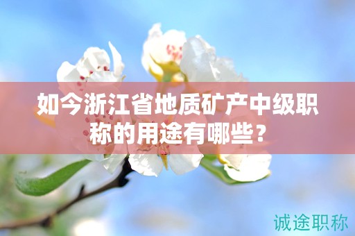 如今浙江省地質(zhì)礦產(chǎn)中級職稱的用途有哪些？