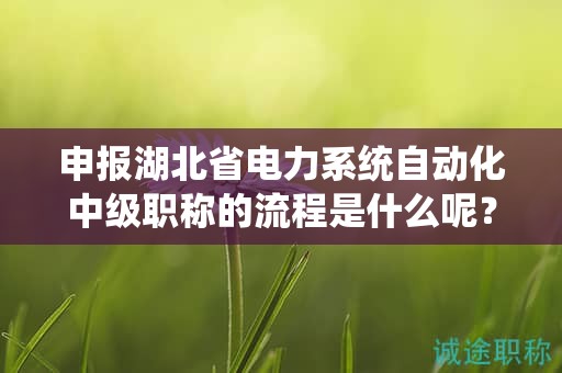 申報湖北省電力系統(tǒng)自動化中級職稱的流程是什么呢？