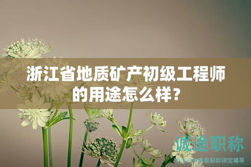 浙江省地質(zhì)礦產(chǎn)初級工程師的用途怎么樣？
