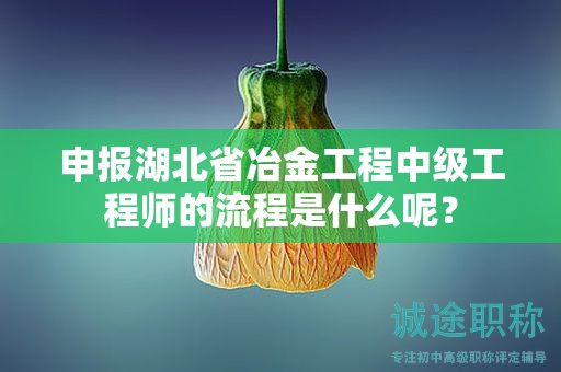 申報湖北省冶金工程中級工程師的流程是什么呢？