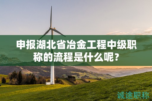 申報(bào)湖北省冶金工程中級(jí)職稱的流程是什么呢？