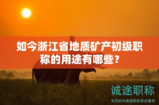 如今浙江省地質(zhì)礦產(chǎn)初級職稱的用途有哪些？