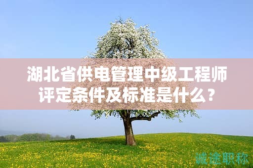 湖北省供電管理中級(jí)工程師評(píng)定條件及標(biāo)準(zhǔn)是什么？