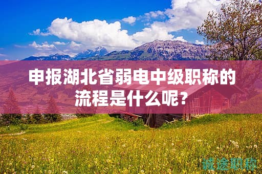 申報(bào)湖北省弱電中級(jí)職稱的流程是什么呢？