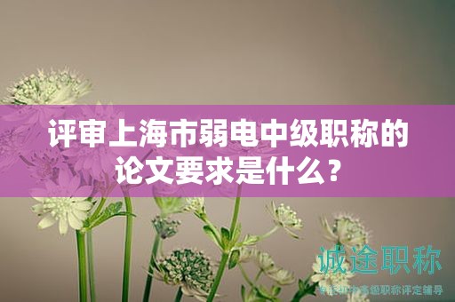 評(píng)審上海市弱電中級(jí)職稱的論文要求是什么？