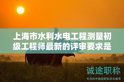 上海市水利水電工程測(cè)量初級(jí)工程師最新的評(píng)審要求是什么，如何準(zhǔn)備？