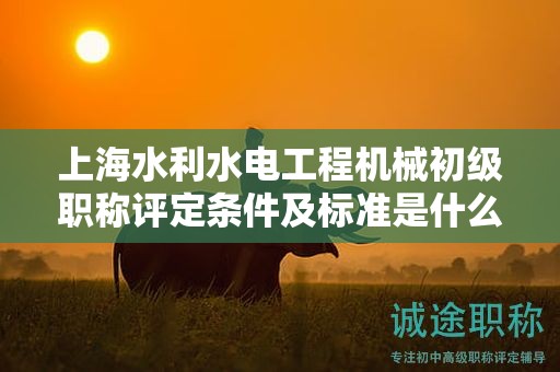 上海水利水電工程機械初級職稱評定條件及標(biāo)準是什么，如何達到？