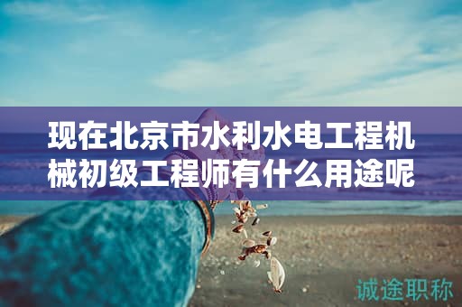 現(xiàn)在北京市水利水電工程機(jī)械初級工程師有什么用途呢？
