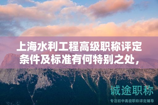 上海水利工程高級職稱評定條件及標準有何特別之處，怎么理解？
