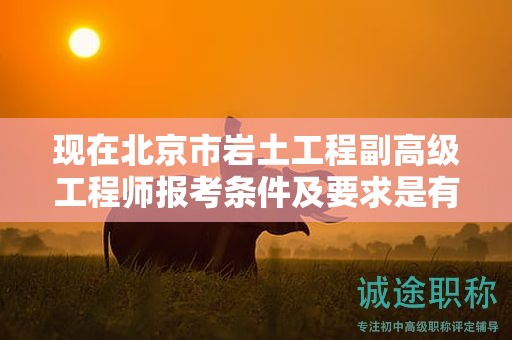 現(xiàn)在北京市巖土工程副高級工程師報考條件及要求是有哪些？