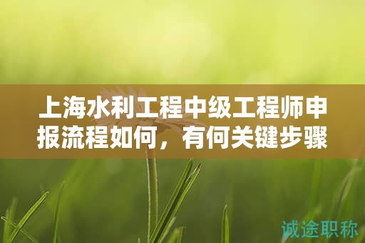 上海水利工程中級工程師申報(bào)流程如何，有何關(guān)鍵步驟？