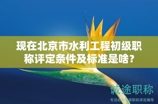 現(xiàn)在北京市水利工程初級職稱評定條件及標(biāo)準(zhǔn)是啥？