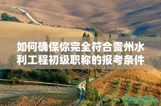如何確保你完全符合貴州水利工程初級(jí)職稱(chēng)的報(bào)考條件及要求？