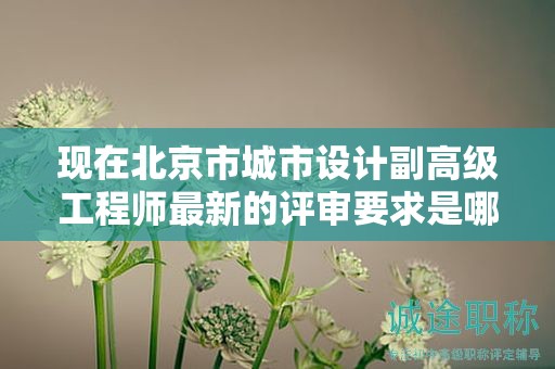 現(xiàn)在北京市城市設(shè)計(jì)副高級(jí)工程師最新的評(píng)審要求是哪些呢？