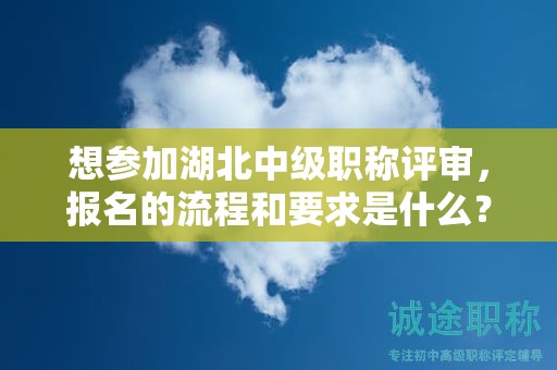想?yún)⒓雍敝屑壜毞Q評審，報名的流程和要求是什么？