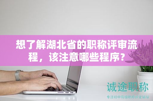 想了解湖北省的職稱評審流程，該注意哪些程序？