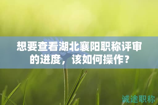 想要查看湖北襄陽(yáng)職稱評(píng)審的進(jìn)度，該如何操作？