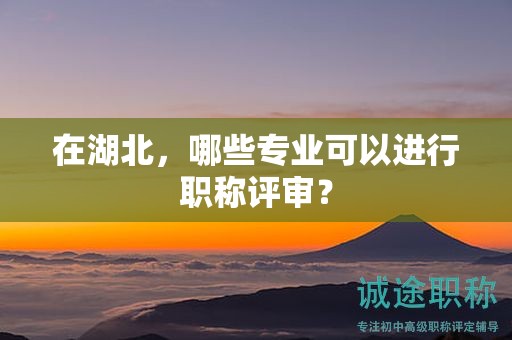 在湖北，哪些專(zhuān)業(yè)可以進(jìn)行職稱(chēng)評(píng)審？