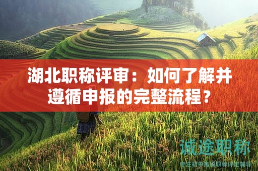 湖北職稱評審：如何了解并遵循申報(bào)的完整流程？