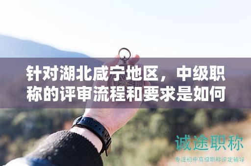 針對湖北咸寧地區(qū)，中級職稱的評審流程和要求是如何的？