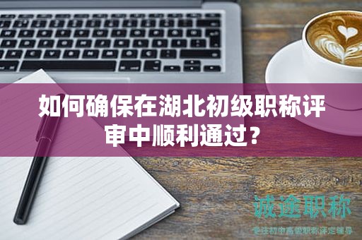 如何確保在湖北初級職稱評審中順利通過？