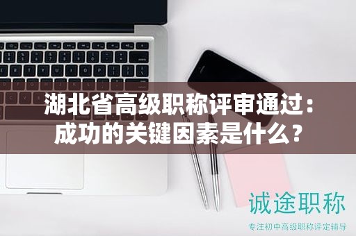 湖北省高級職稱評審?fù)ㄟ^：成功的關(guān)鍵因素是什么？