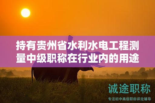 持有貴州省水利水電工程測(cè)量中級(jí)職稱在行業(yè)內(nèi)的用途是什么？