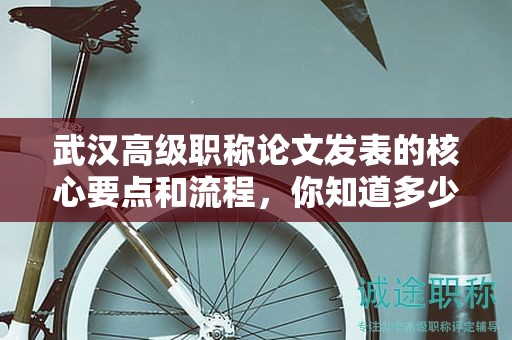 武漢高級(jí)職稱(chēng)論文發(fā)表的核心要點(diǎn)和流程，你知道多少？