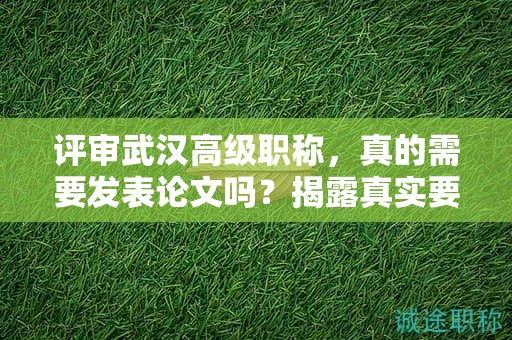 評(píng)審武漢高級(jí)職稱，真的需要發(fā)表論文嗎？揭露真實(shí)要求